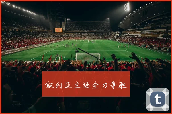 叙利亚主场全力争胜