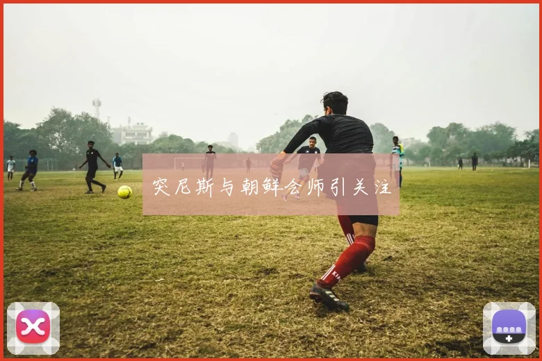 突尼斯与朝鲜会师引关注