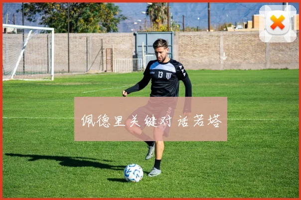 佩德里关键对话若塔