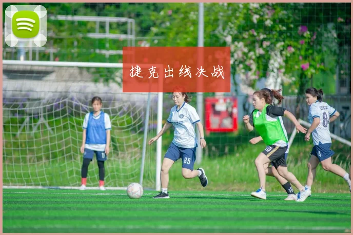 捷克出线决战
