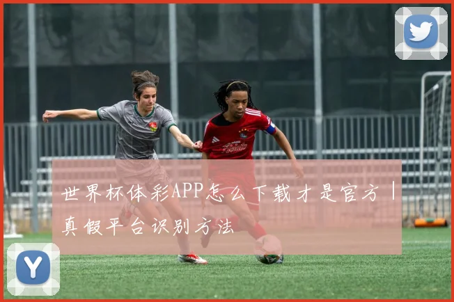 世界杯体彩APP怎么下载才是官方｜真假平台识别方法