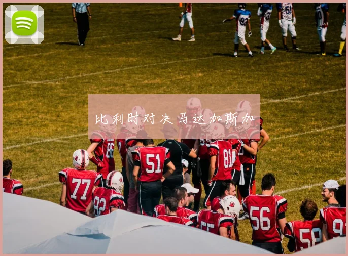 比利时对决马达加斯加