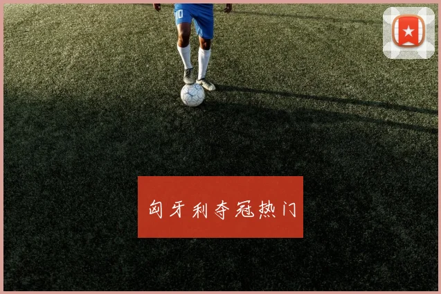 匈牙利夺冠热门