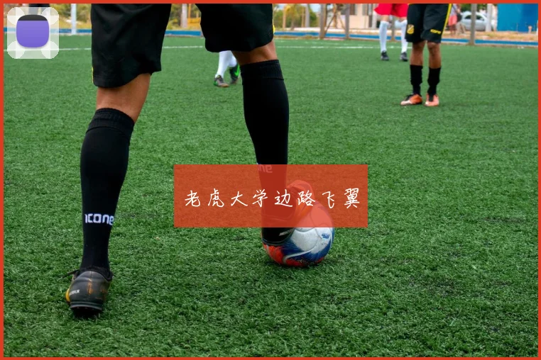 老虎大学边路飞翼