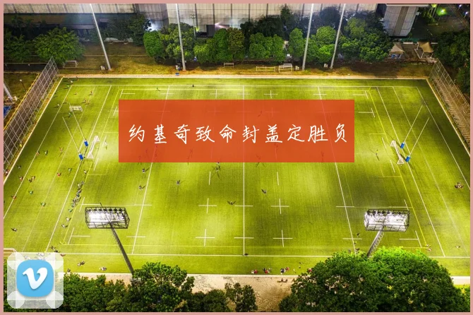 约基奇致命封盖定胜负