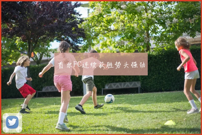 首尔FC连续获胜势头强劲
