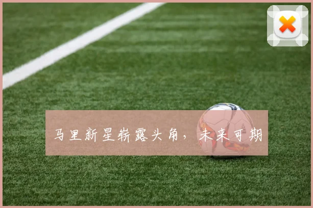 马里新星崭露头角，未来可期