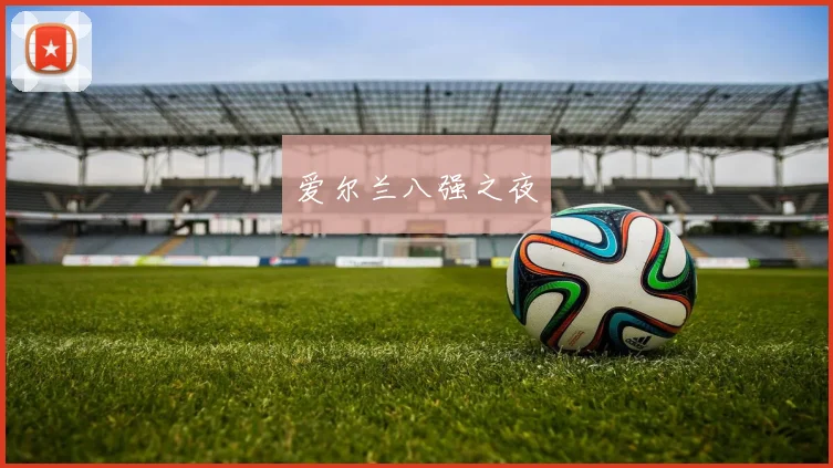 爱尔兰八强之夜
