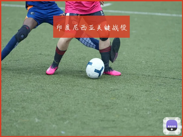 印度尼西亚关键战役