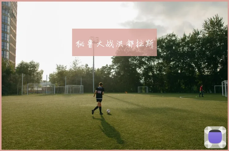 秘鲁大战洪都拉斯