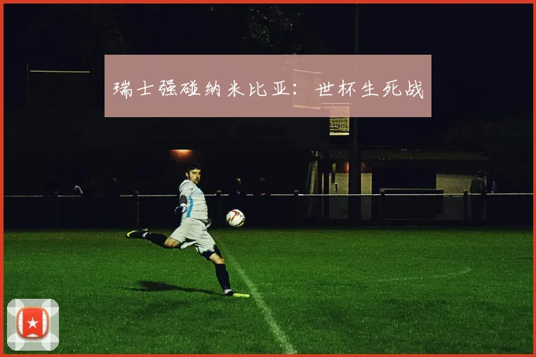 瑞士强碰纳米比亚：世杯生死战