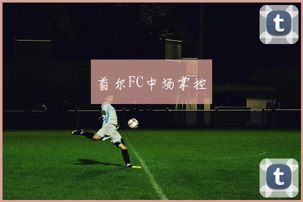 首尔FC中场掌控