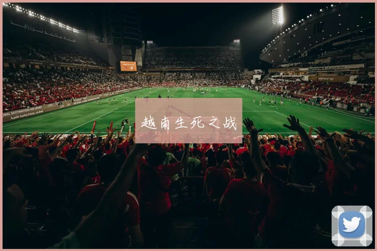 越南生死之战