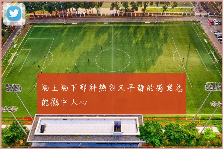 场上场下那种热烈又平静的感觉总能戳中人心