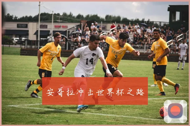 安哥拉冲击世界杯之路