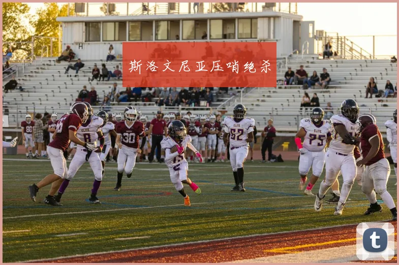斯洛文尼亚压哨绝杀