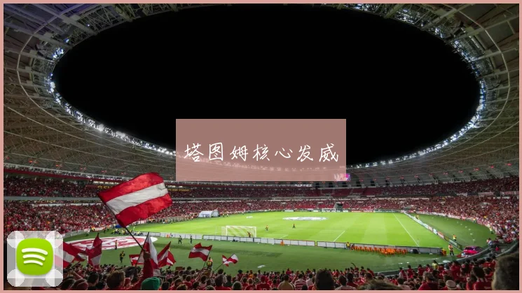 塔图姆核心发威