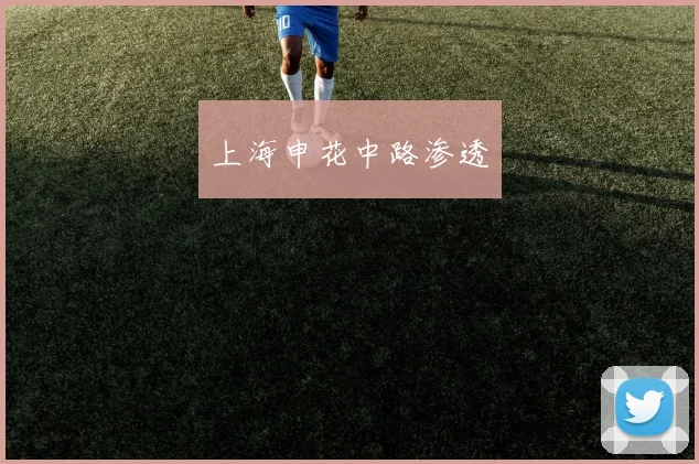 上海申花中路渗透