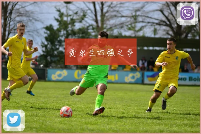 爱尔兰四强之争