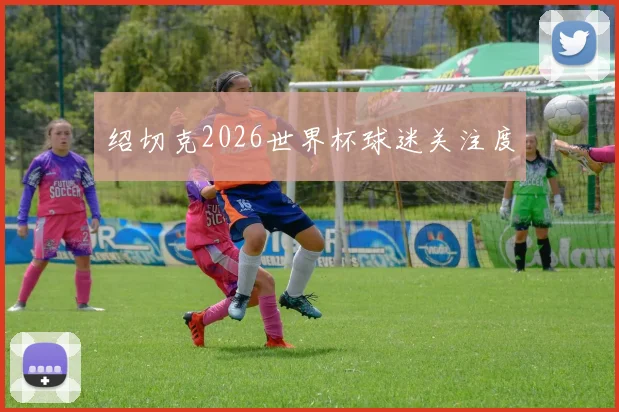 绍切克2026世界杯球迷关注度