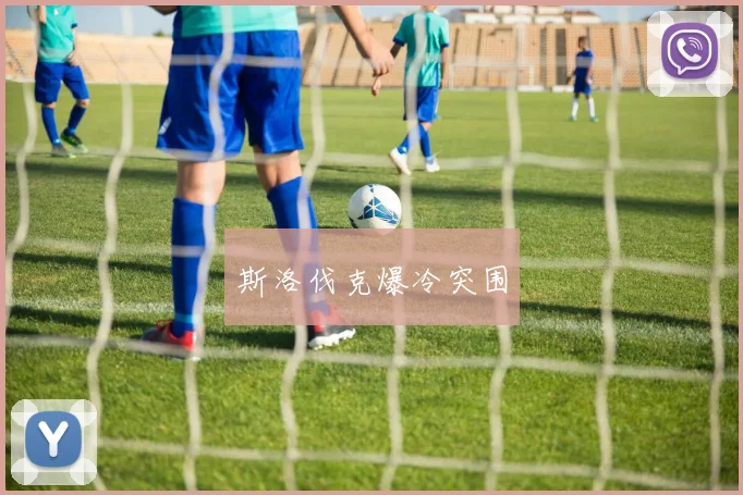 斯洛伐克爆冷突围