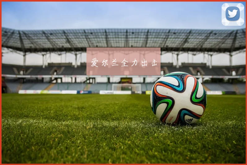 爱尔兰全力出击